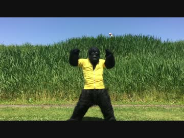 【踊ってみた】ビースト・ダンス【猿爪？】