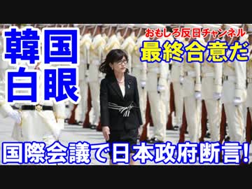【韓国が白眼で発狂】 国際会議で日本政府が断言！悪いのは韓国だ！