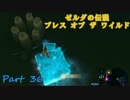 実況とはよべないゲームプレイ【のんびり冒険 ゼルダの伝説BotW】36