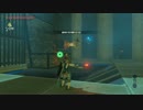 【ゼルダの伝説 BotW】毎日祠を攻略解説 DAY 8【ルヨ・タウの祠】