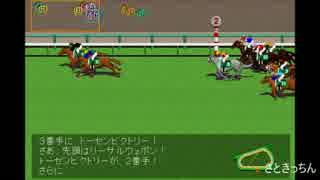20170611 阪神11R 第22回マーメイドＳ(ＧⅢ)予想シミュレーション