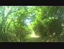 【ハイキング】長尾峠～芦ノ湖スカイライン入口～湖尻⑦【往路】