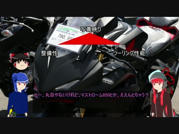 茜ちゃんとバイク選び回。