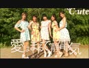 【くりたる×あー×なお×はこ】愛はまるで静電気／℃-ute【踊ってみた】