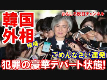 【韓国国会で外相候補がフルボッコ】 犯罪の豪華デパート状態！