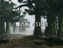 【SW2.0】紅美鈴のひとりあそびin霧の街15