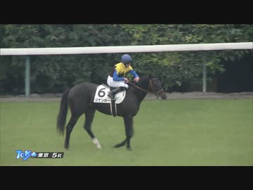 ジナンボー　2歳新馬