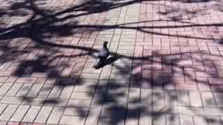 人気の フレル 動画 3本 ニコニコ動画