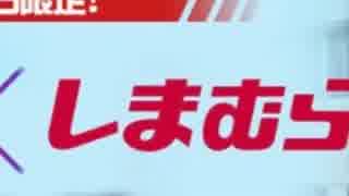 【PSO2】どん・きフレンズ