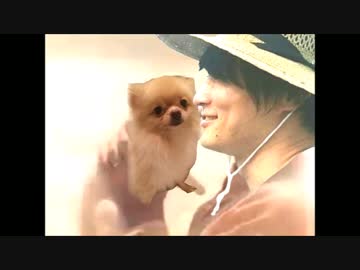 ～ﾊﾅﾁｬﾝとの出会い編～