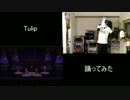 『Tulip』　踊ってみた　【比較MV有り】