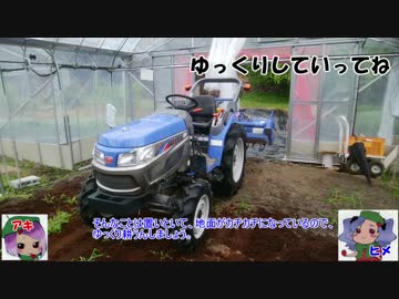 本気農業　「いちご」つくって400万稼ぐ　その2