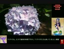 憎き害虫をコロコロするフラワーナイトガール 長居植物園レポート10