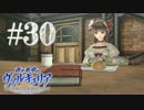 【実況】蒼き革命のヴァルキュリア＃３０「Let's 調査！」