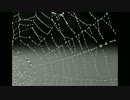 【オリジナル】Thin thread - サントラ