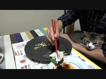 アウトドアをやろう！「アナゴ釣ってお刺身食べるぞ」 in 八丈島