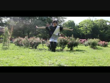 【踊ってみた】バタフライ・グラフィティ【ぬこ猫＋ぬこ猫フレンズ】