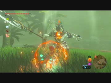 【実況】愛に生きるゼルダの伝説ブレスオブザワイルド part89