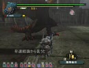 MHF【エスピナス亜種のフレア＋α】