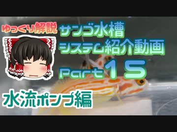 サンゴ水槽 システム紹介動画 Part15 水流ポンプ前半