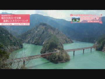 Luxury Rider 058 Ninja650で行く！ 桜の大井川寸又峡温泉に入ろう！ツーリング