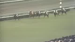 1974年 京成杯3歳ステークス 1200m テスコガビー圧勝