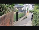 されど私の人生