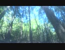 低山を歩こう 七種薬師 20170505 part1