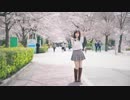 【ゆめめ】流★群 Meteor Stream 踊ってみた【桜の下で】