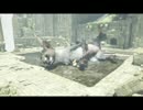 【実況】人喰いの大鷲のトリコの虜になる part9