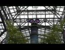 【TDL】一足早く七夕の飾り