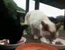 20170613