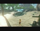 【高画質プレイ動画番外編】ゼルダの伝説 ブレスオブザワイルド  全裸島1