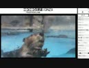 2017/06/10　東武動物公園配信　けものフレンズ　コラボガイド最終日5