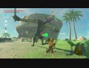 【高画質プレイ動画番外編】ゼルダの伝説 ブレスオブザワイルド 全裸島3