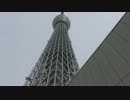 カメーナエの散歩道 「初夏の隅田川、下町浅草」 Part3