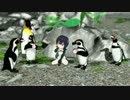 【MMDけものフレンズ】はなことば【フルルとグレープ君】