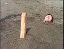 青春