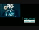 Filmteam für OP Film - Filmproduktion für den OP
