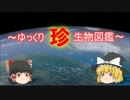 ～ゆっくり　珍　生物図鑑～　新・55回