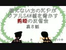 萌えない方のＫＰがリアルSAN値を脅かす荊姫の反省会～裏８話～