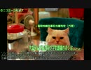 迷航空会社列伝Lite「飛行機できたら会社が消えた」リンク