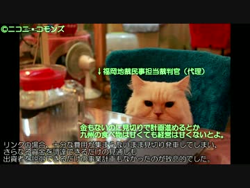 迷航空会社列伝Lite「飛行機できたら会社が消えた」リンク