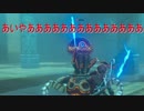 『実況』 初めてのゼルダの伝説 野生の息 part16