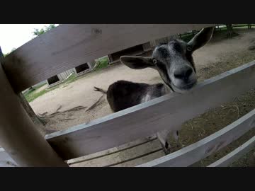 バイクで一人旅　第一話「田舎はだんないよ」