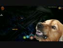 [FITF]ゴリラと犬の急流下り11[PC版]