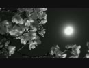 【オリジナル曲】宵櫻ニ舞フ【和風】