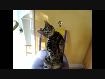 報復運転・煽り運転　1