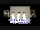 Wink『淋しい熱帶魚』北京語版…小虎隊「星星的約会」