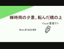 蝉時雨の夕景、転んだ橋の上
